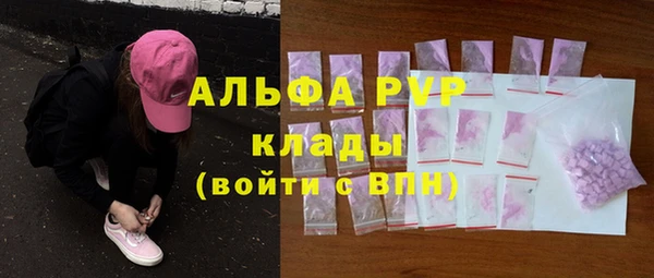 прущие грибы Балахна