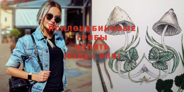 прущие грибы Балахна