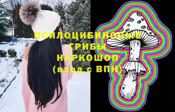 прущие грибы Балахна
