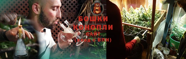 прущие грибы Балахна
